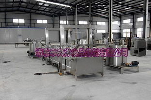 诸城市大洋食品机械推出全新高效油炸生产线，引领食品加工设备性能新标杆